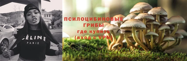 дурь Верея