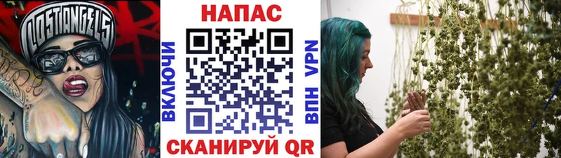 Каннабис гибрид Ветлуга
